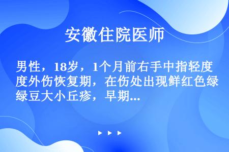 男性，18岁，1个月前右手中指轻度外伤恢复期，在伤处出现鲜红色绿豆大小丘疹，早期发展迅速，现基本停止...