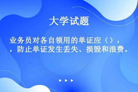 业务员对各自领用的单证应（），防止单证发生丢失、损毁和浪费。