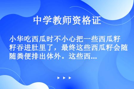 小华吃西瓜时不小心把一些西瓜籽吞进肚里了，最终这些西瓜籽会随粪便排出体外。这些西瓜籽在小华体内经过的...