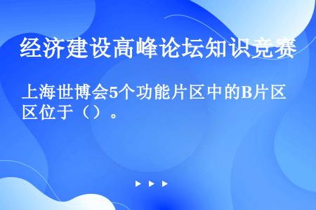 上海世博会5个功能片区中的B片区位于（）。
