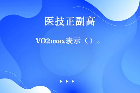 VO2max表示（）。