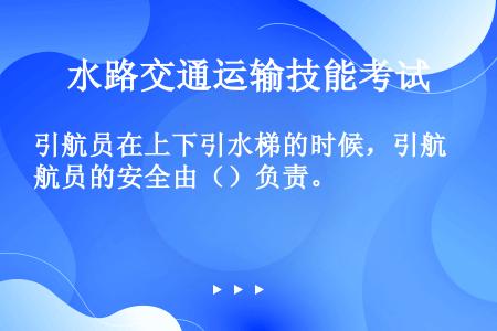 引航员在上下引水梯的时候，引航员的安全由（）负责。