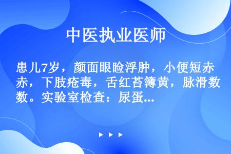 患儿7岁，颜面眼睑浮肿，小便短赤，下肢疮毒，舌红苔簿黄，脉滑数。实验室检查：尿蛋白（++），镜下红细...