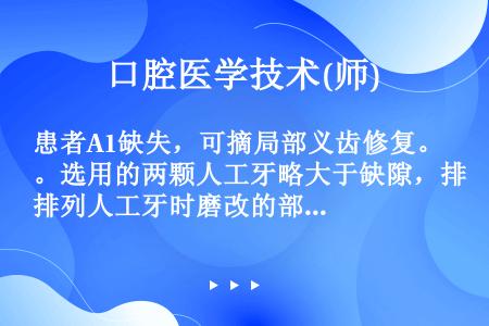 患者A1缺失，可摘局部义齿修复。选用的两颗人工牙略大于缺隙，排列人工牙时磨改的部位，下列各项错误的是...