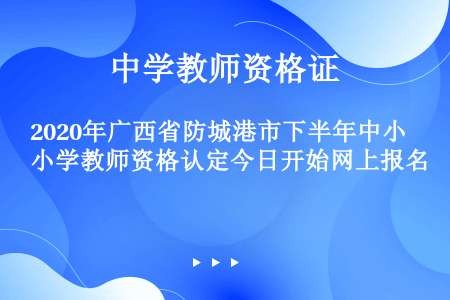 2020年广西省防城港市下半年中小学教师资格认定今日开始网上报名