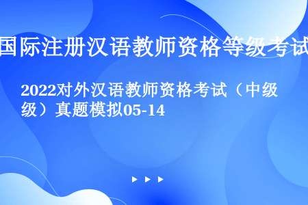 2022对外汉语教师资格考试（中级）真题模拟05-14