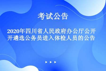 2020年四川省人民政府办公厅公开遴选公务员进入体检人员的公告