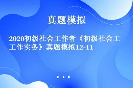 2020初级社会工作者《初级社会工作实务》真题模拟12-11