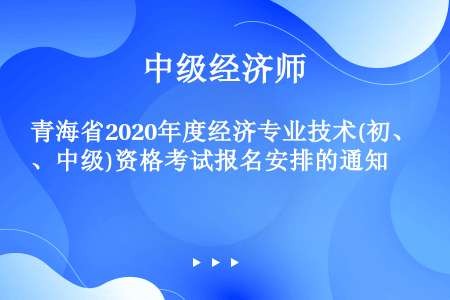 青海省2020年度经济专业技术(初、中级)资格考试报名安排的通知