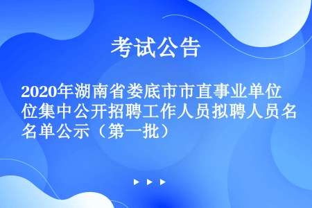 2020年湖南省娄底市市直事业单位集中公开招聘工作人员拟聘人员名单公示（第一批）