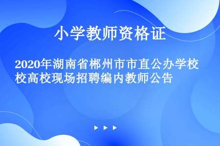 2020年湖南省郴州市市直公办学校高校现场招聘编内教师公告