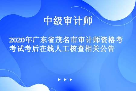 2020年广东省茂名市审计师资格考试考后在线人工核查相关公告