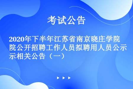 2020年下半年江苏省南京晓庄学院公开招聘工作人员拟聘用人员公示相关公告（一）