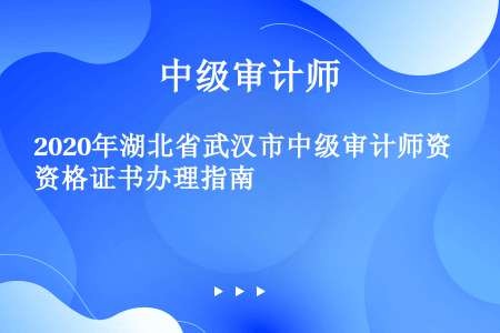 2020年湖北省武汉市中级审计师资格证书办理指南