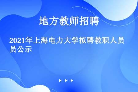 2021年上海电力大学拟聘教职人员公示